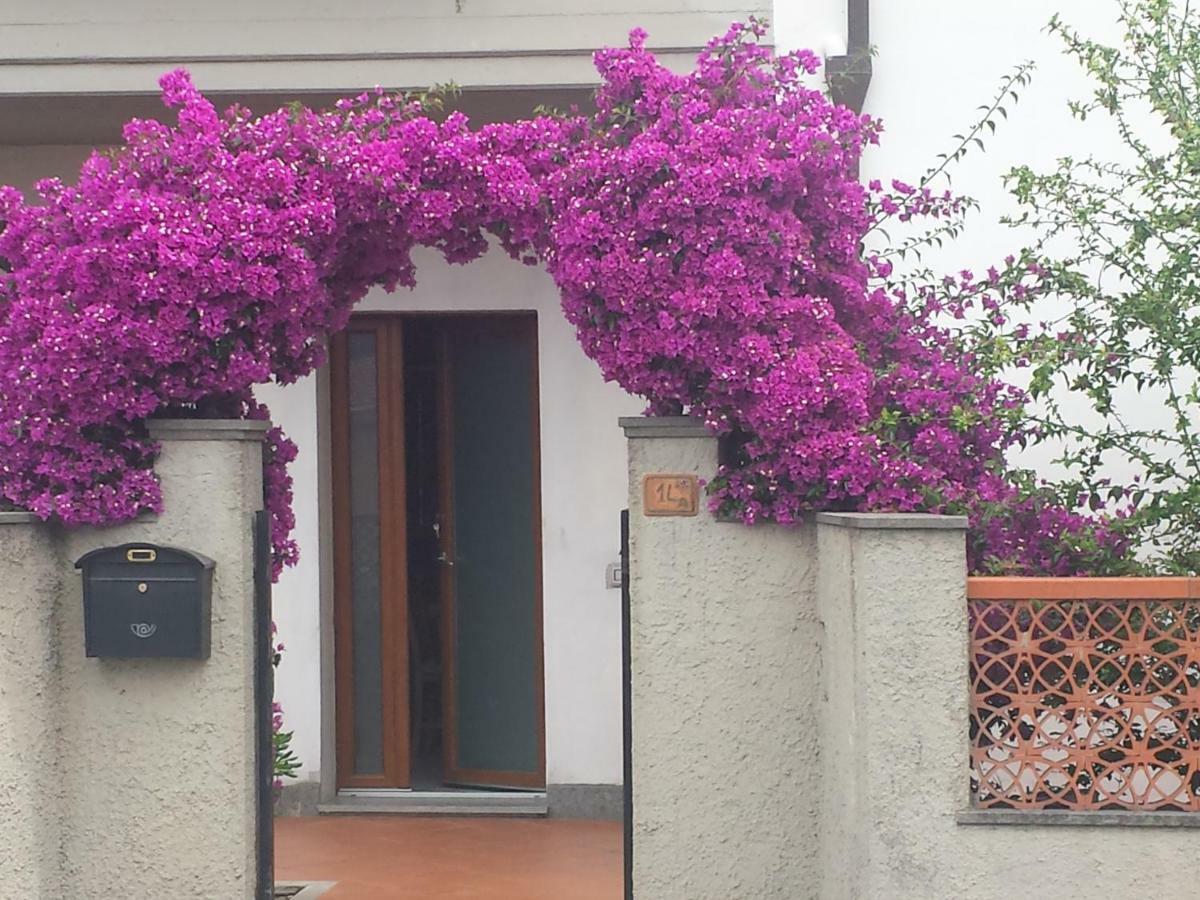 Villa Lory Albinia Bagian luar foto